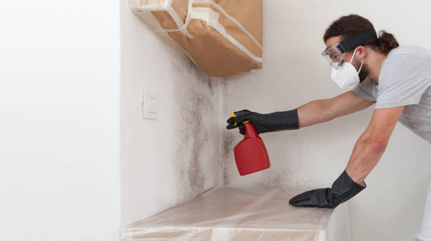 Professional Bathroom Mold Removal technician working in Wheaton, IL