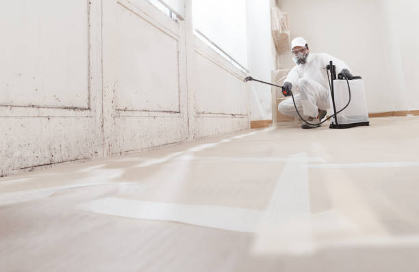 24/7 Emergency Bathroom Mold Removal experts in Wheaton, IL