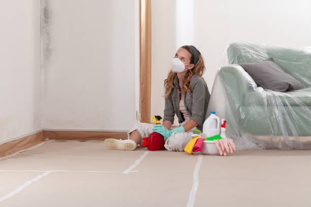 Reliable Bathroom Mold Removal contractor in Wheaton, IL by Mold Remediation HQ